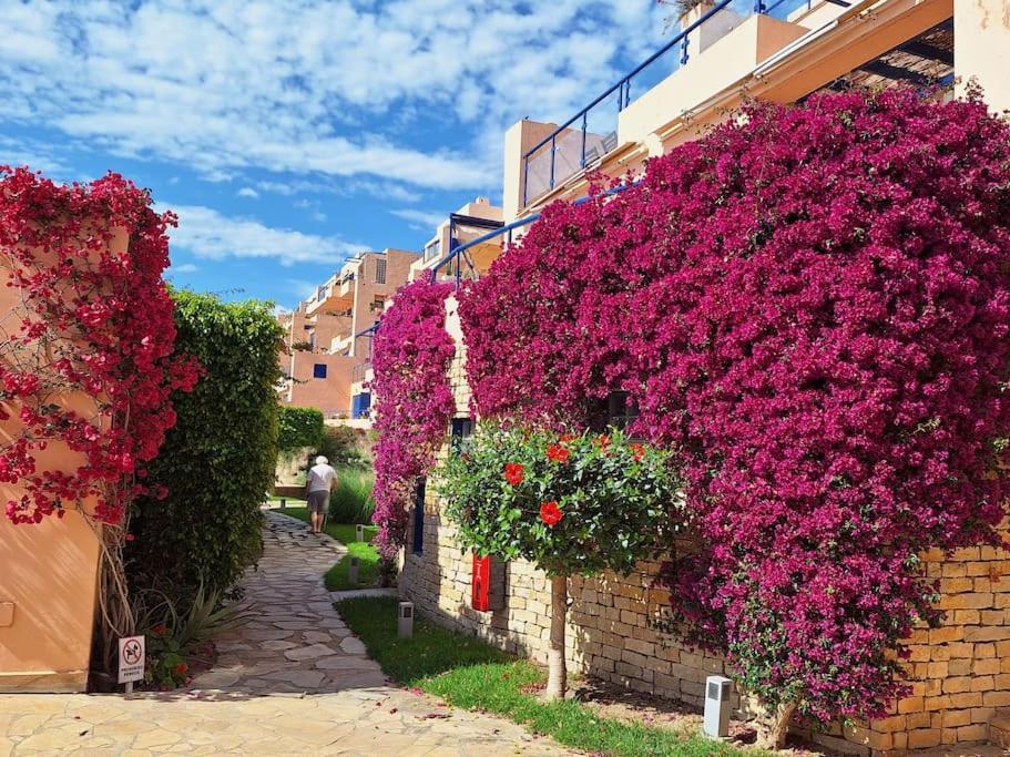 Sea View Cozy Apartment La Tanita موخاكار المظهر الخارجي الصورة